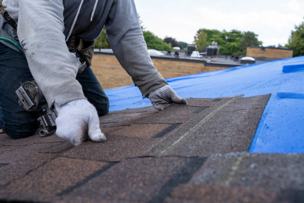 Best Shingle Roofing Installation  in Roberts, WI